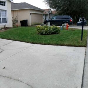 Cutting services in Haines City, FL - D'Zuniga Affordable Lawn Care Services LLC
