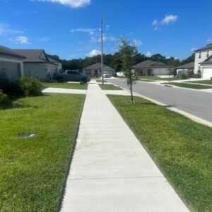 Grass Maintenance service in Haines City, FL - D'Zuniga Affordable Lawn Care Services LLC (1)
