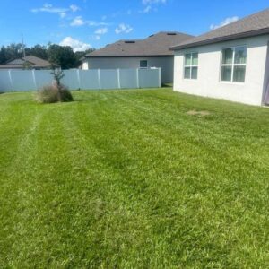 Grass Maintenance service in Haines City, FL - D'Zuniga Affordable Lawn Care Services LLC (10)