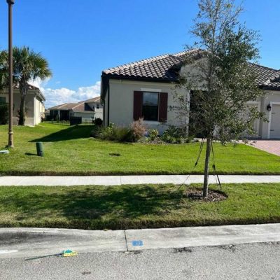 Edging services in Haines City, FL - D'Zuniga Affordable Lawn Care Services LLC