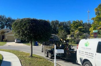 Grass Maintenance service in Haines City, FL - D'Zuniga Affordable Lawn Care Services LLC